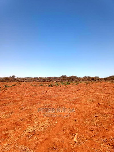 42 Acres in Eselenkei Kajiado at 11m the Whole Block - Image 2