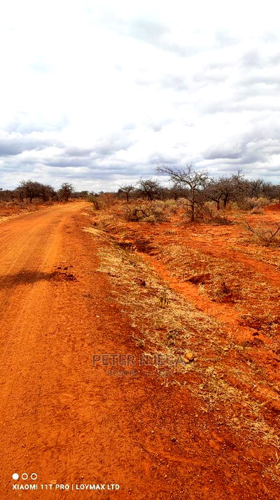 42 Acres in Eselenkei Kajiado at 11m the Whole Block - Image 8