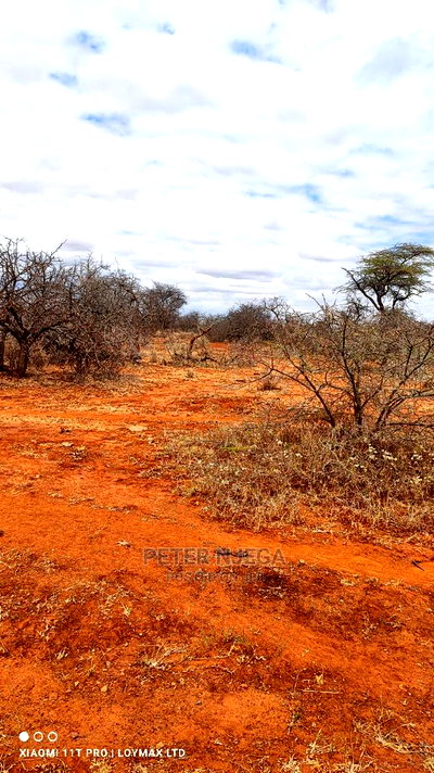 42 Acres in Eselenkei Kajiado at 11m the Whole Block - Image 3