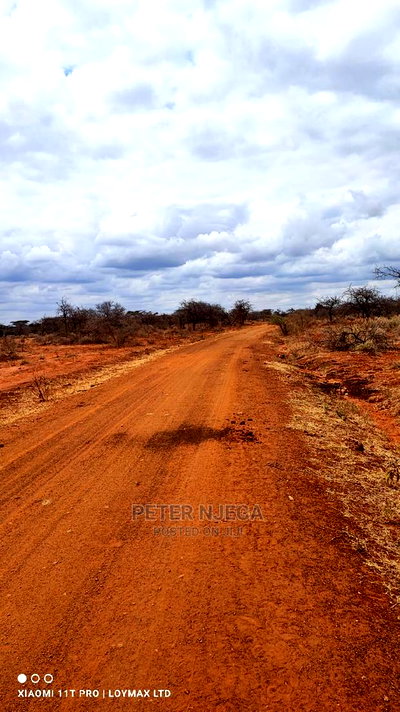 42 Acres in Eselenkei Kajiado at 11m the Whole Block - Image 4