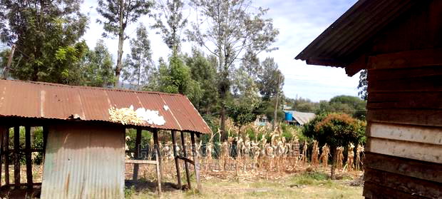 3bdrm Bungalow in Olkeri, Ngong for sale