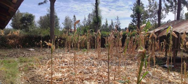 3bdrm Bungalow in Olkeri, Ngong for sale