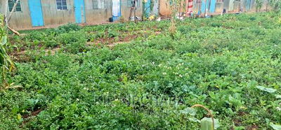 1/2 Acre For Ssle In Kapsoya Estate In Eldoret - Image 3