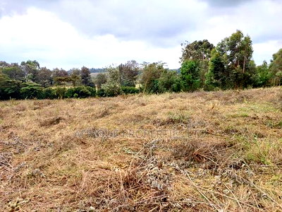 Ngong Kibiko Resident Plot 50*100 for Sale - Image 8