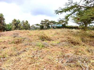 Ngong Kibiko Resident Plot 50*100 for Sale - Image 7