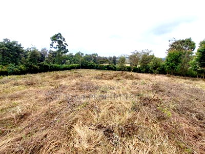 Ngong Kibiko Resident Plot 50*100 for Sale - Image 3