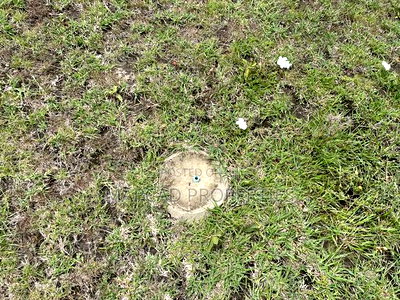 Prime Residential Plots Kitengela Milimani - Image 2