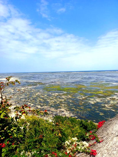 4bdrm Mansion in Kikambala for sale - Image 1