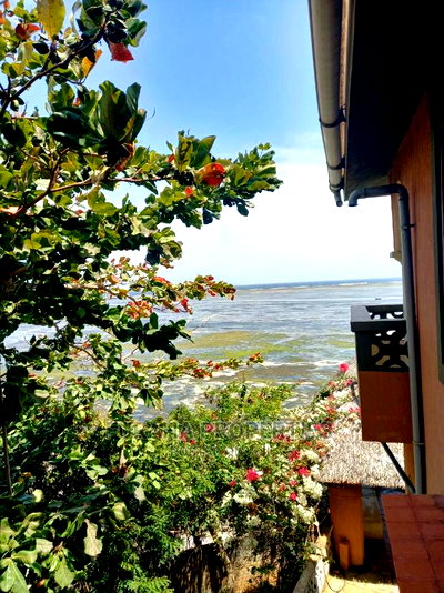 4bdrm Mansion in Kikambala for sale - Image 8