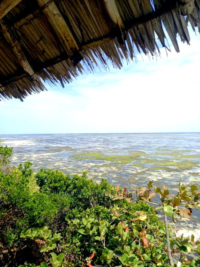 4bdrm Mansion in Kikambala for sale - Image 5