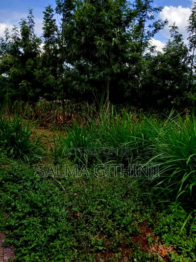 100 By100ft Residential Plot for Sale in Kikuyu, Muguga - Image 2