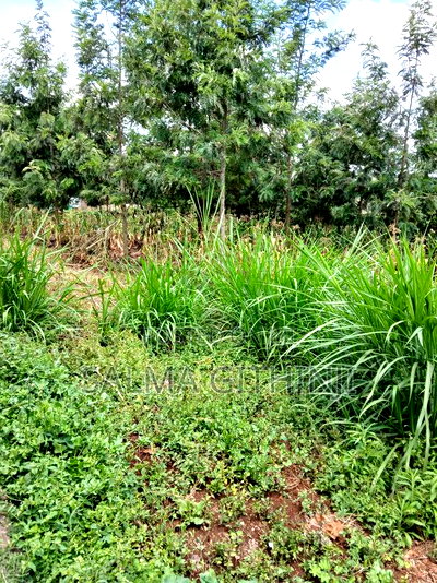 100 By100ft Residential Plot for Sale in Kikuyu, Muguga - Image 10