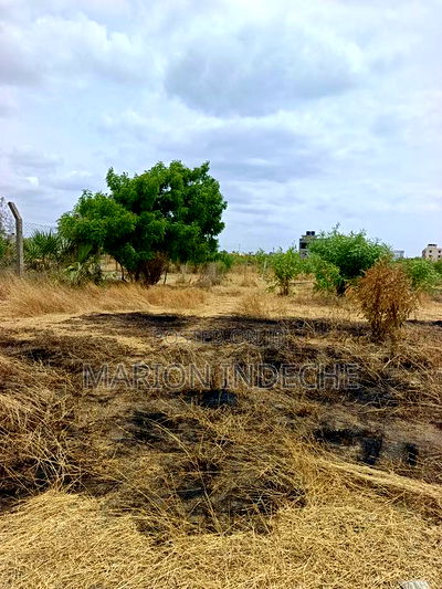 Prime 40x80ft Plots for Sale in Bamburi (Lai) - Image 6