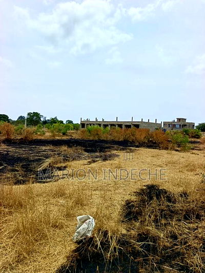 Prime 40x80ft Plots for Sale in Bamburi (Lai) - Image 3