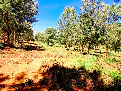 Invest in the Ayanna Waters Estate, Oaklands - Image 3