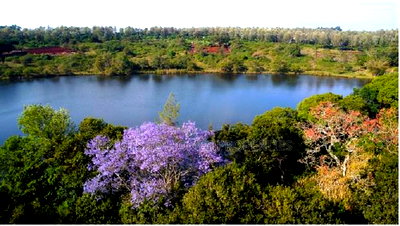 Invest in the Ayanna Waters Estate, Oaklands - Image 4