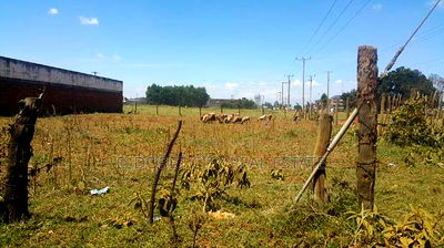 1/4 Plot Annex Stabex Area With Title - Image 1