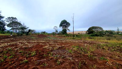 Thika Westwood Meadows(Karangaita) 1/2 Acre Plot - Image 6