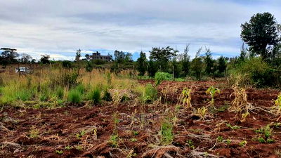 Thika Westwood Meadows(Karangaita) 1/2 Acre Plot - Image 7