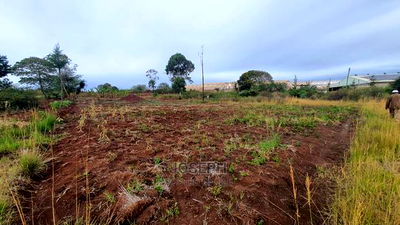 Thika Westwood Meadows(Karangaita) 1/2 Acre Plot - Image 8