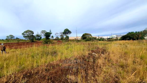 Thika Westwood Meadows(Karangaita) 1/2 Acre Plot