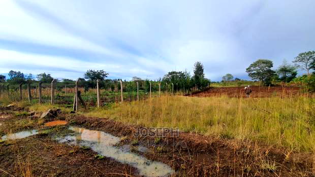 Thika Westwood Meadows(Karangaita) 1/2 Acre Plot
