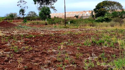 Thika Westwood Meadows(Karangaita) 1/2 Acre Plot - Image 10