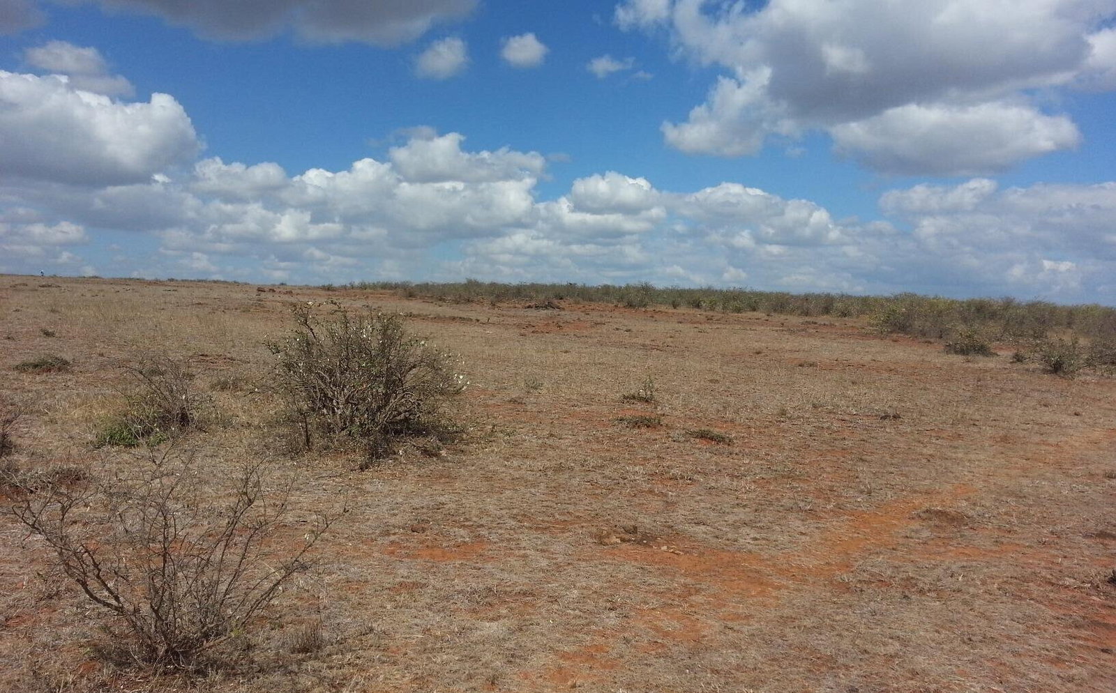 219-Acre Garden Land at KSh 1.8M