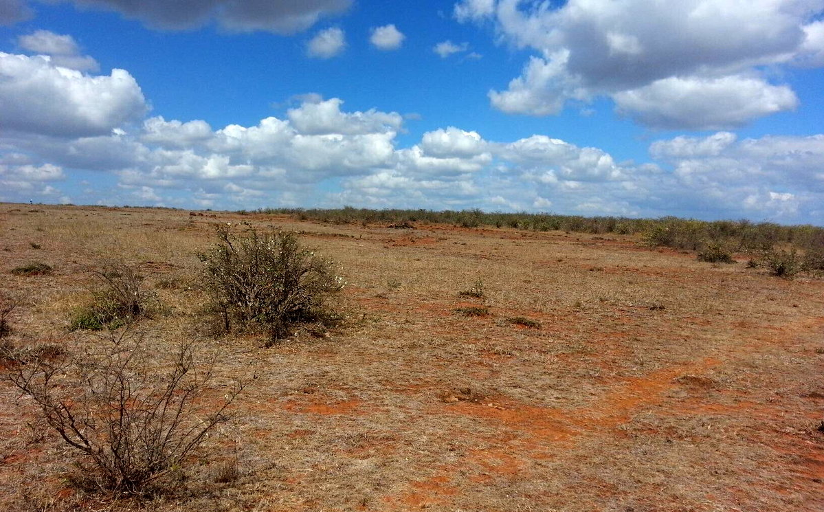 219-Acre Garden Land at KSh 1.8M