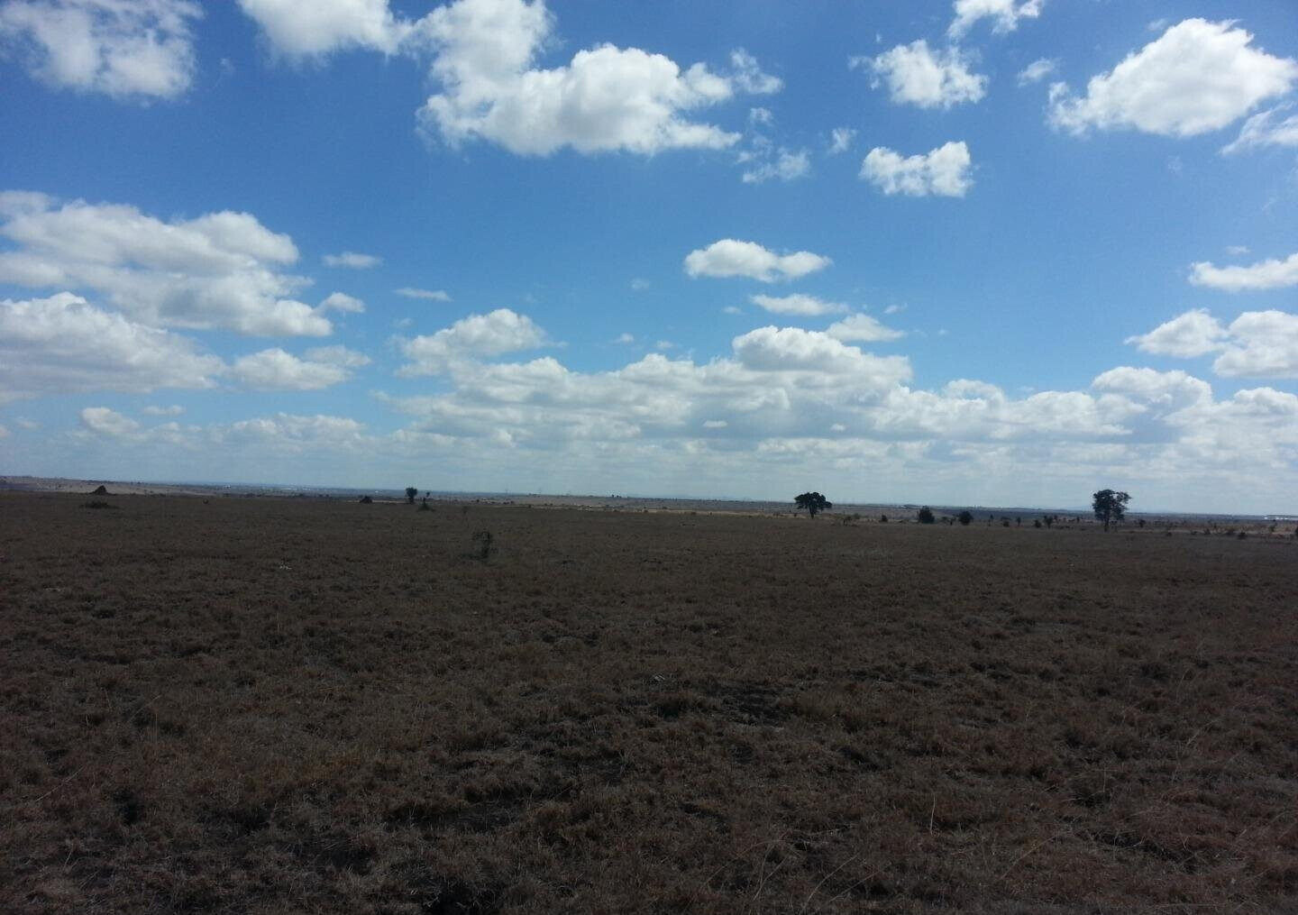 219-Acre Garden Land at KSh 1.8M