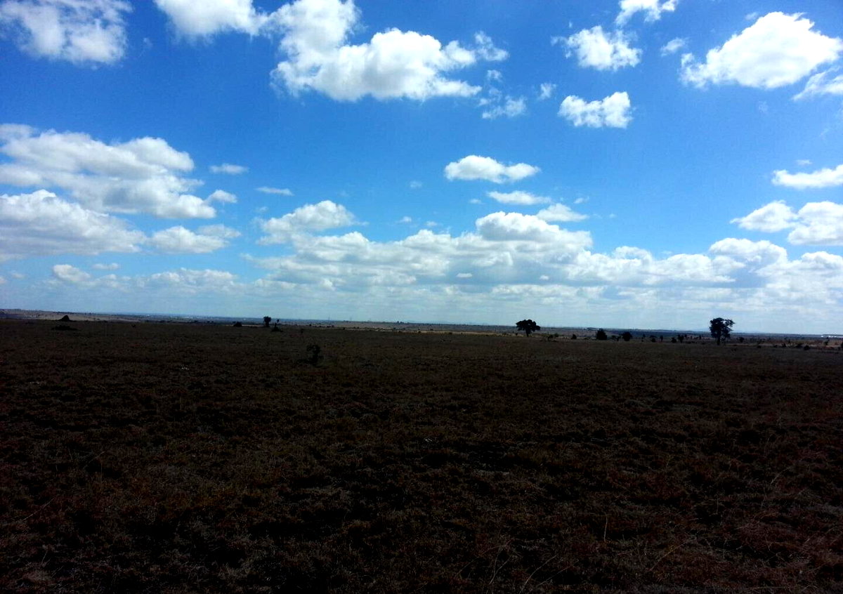 219-Acre Garden Land at KSh 1.8M