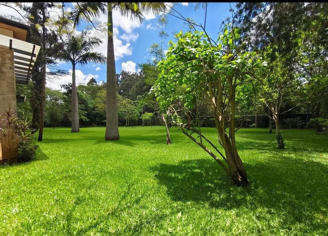 1 Acre Garden Home at KSh 400K