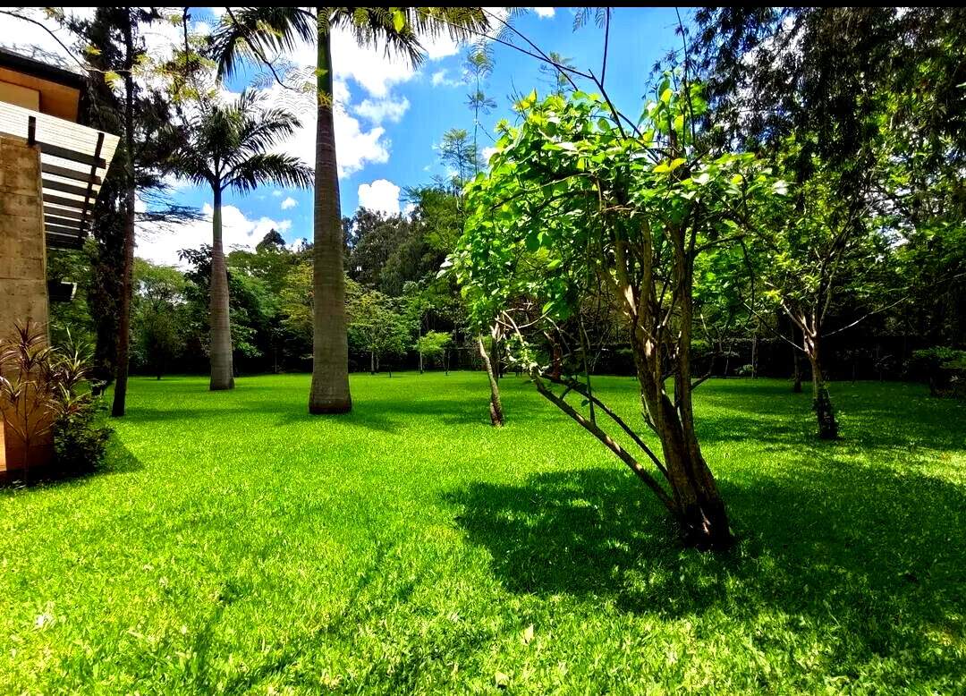 1 Acre Garden Home at KSh 400K