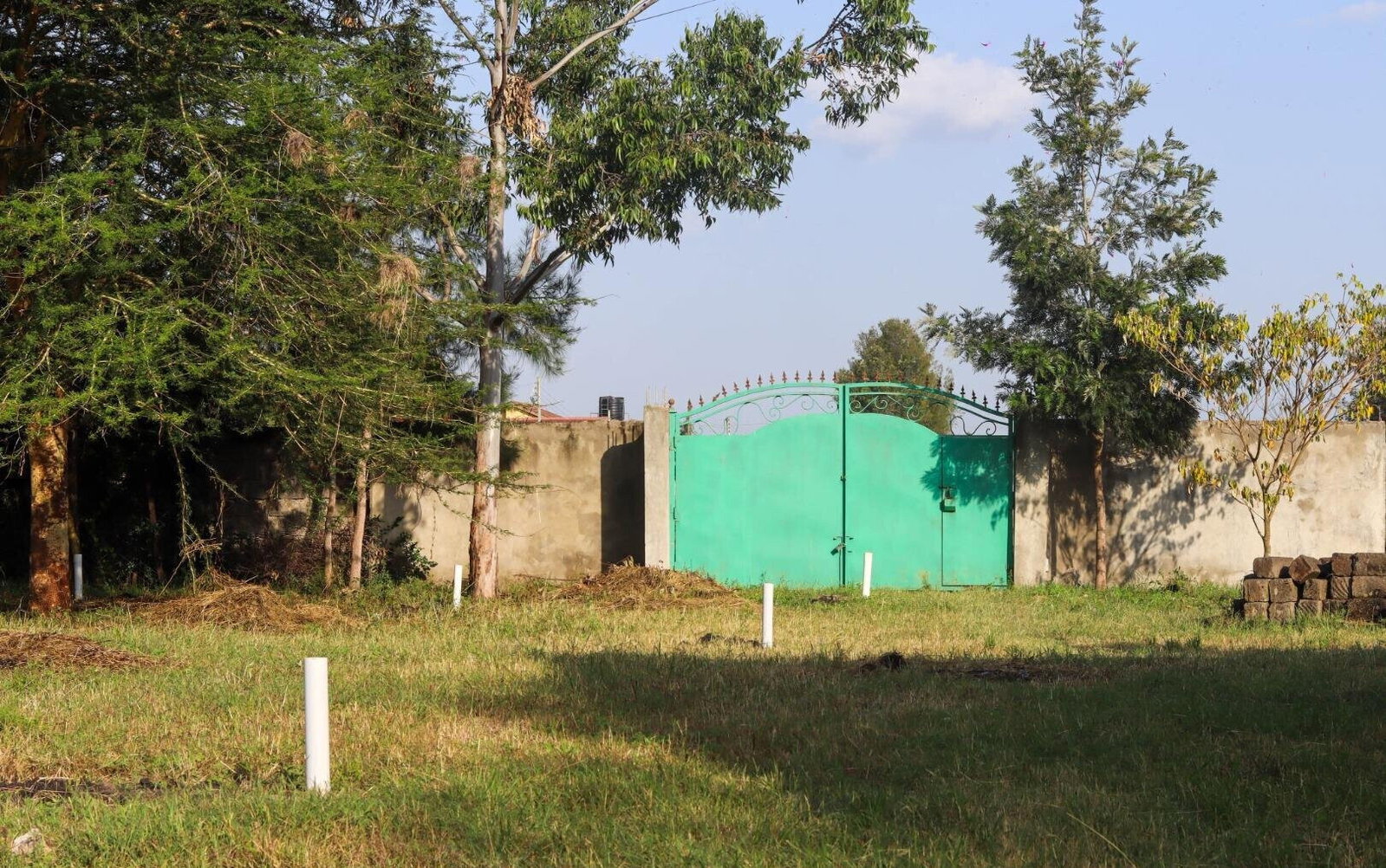 50x100 Plot with Garden in Syokimau