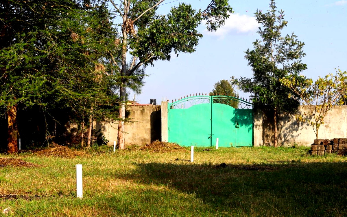 50x100 Plot with Garden in Syokimau