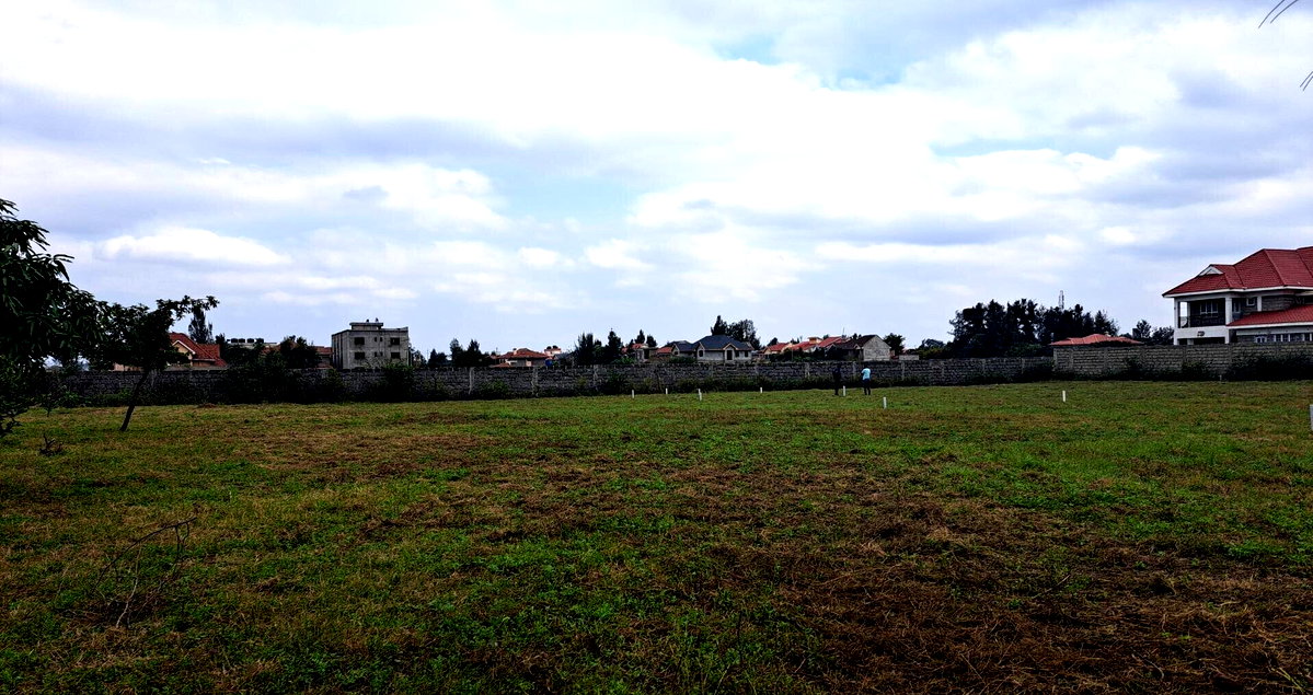 50x100 Plot with Garden in Syokimau