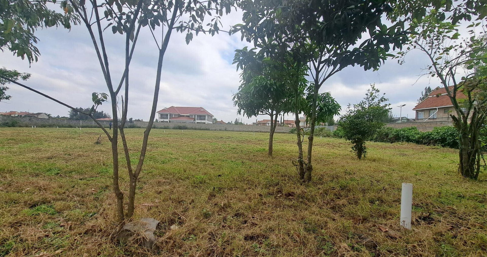 50x100 Plot with Garden in Syokimau