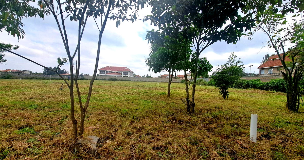 50x100 Plot with Garden in Syokimau