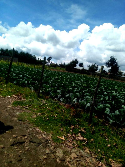 1/4 Acre of Land on Sale at Mtonyora Kinangop - Image 1