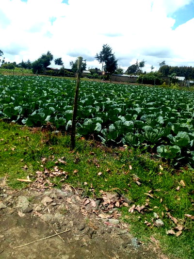 1/4 Acre of Land on Sale at Mtonyora Kinangop - Image 2