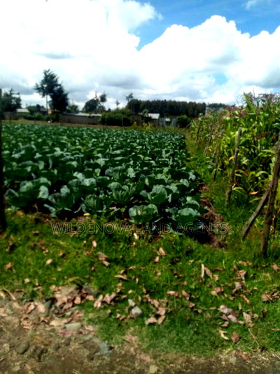 1/4 Acre of Land on Sale at Mtonyora Kinangop - Image 3