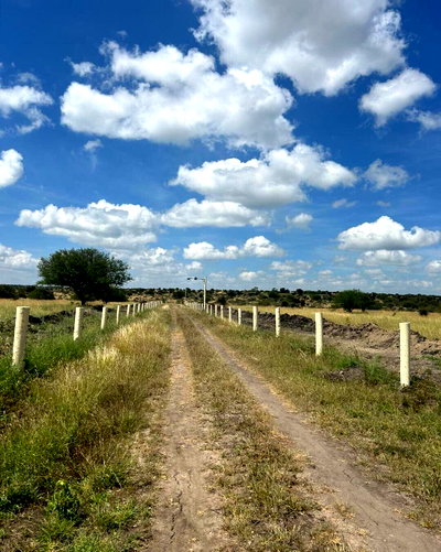 1/2 Acre Plot in Konza for KSh 2.4M