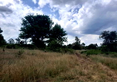 4.8-Acre Land with Road Frontage - Thika