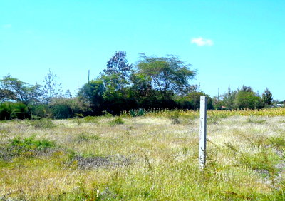 Quarter Acre Plot with Garden in Machakos Town