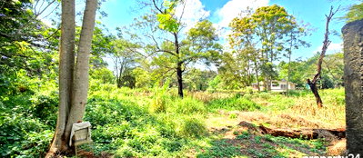 2-Acre Spring Valley Gem with Garden