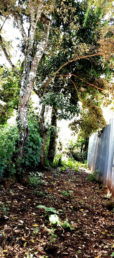 50*100 Plots for Sale in Kerarapon Drive. - Image 2