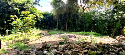 50*100 Plots for Sale in Kerarapon Drive. - Image 3