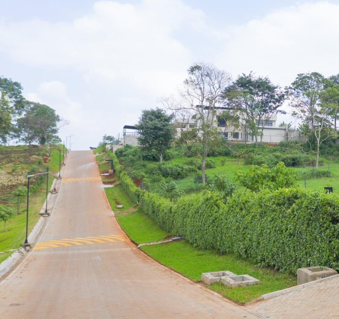 Quarter Acre Serviced Plot in Tigoni