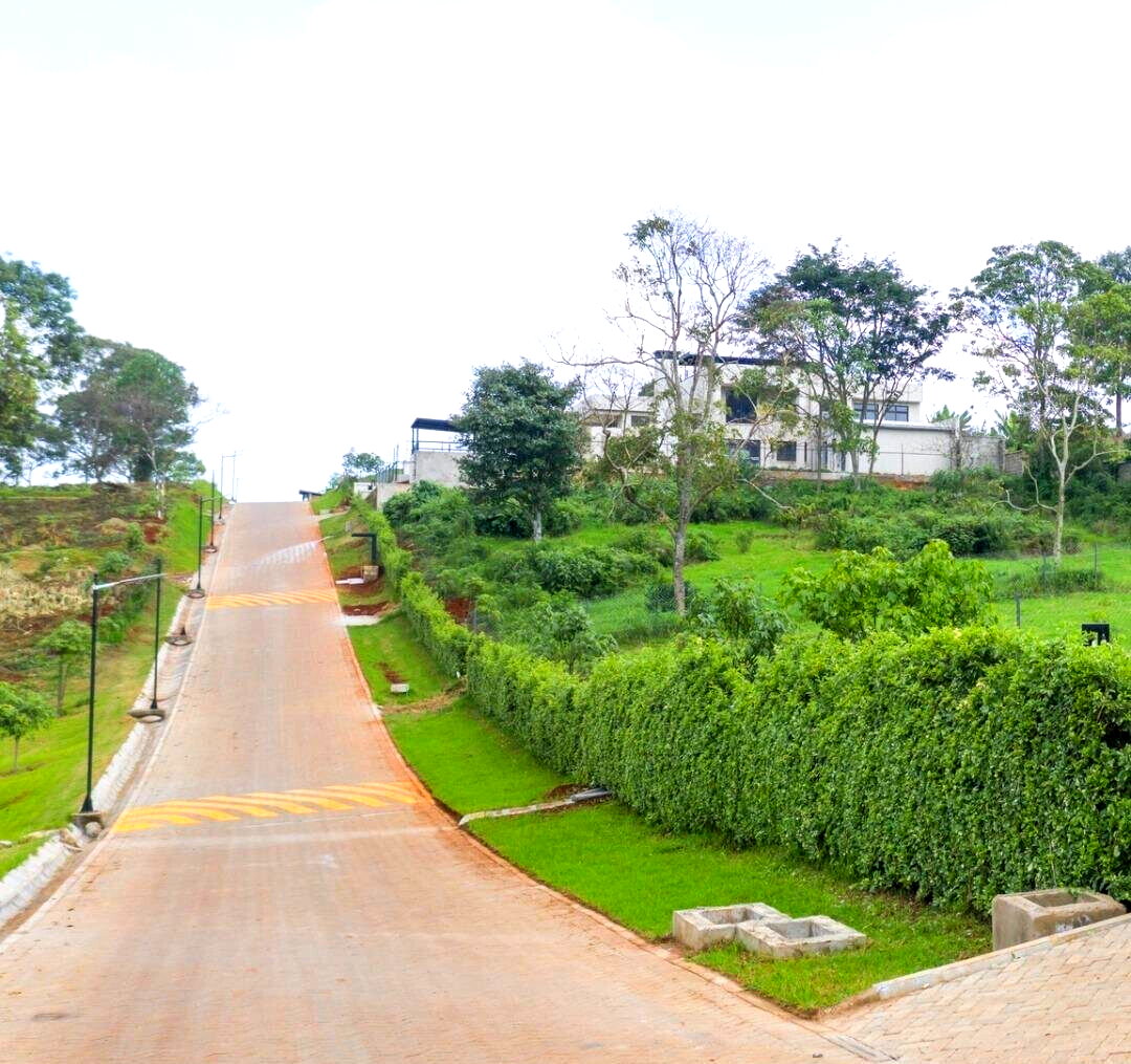 Quarter Acre Serviced Plot in Tigoni