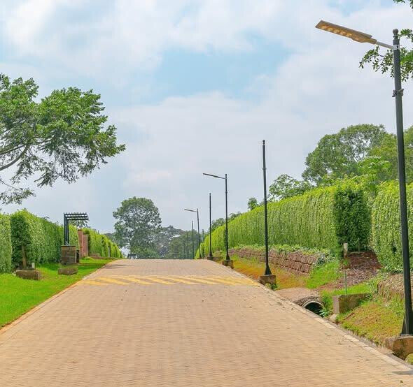 Quarter Acre Serviced Plot in Tigoni